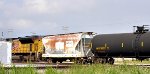 MP 705997